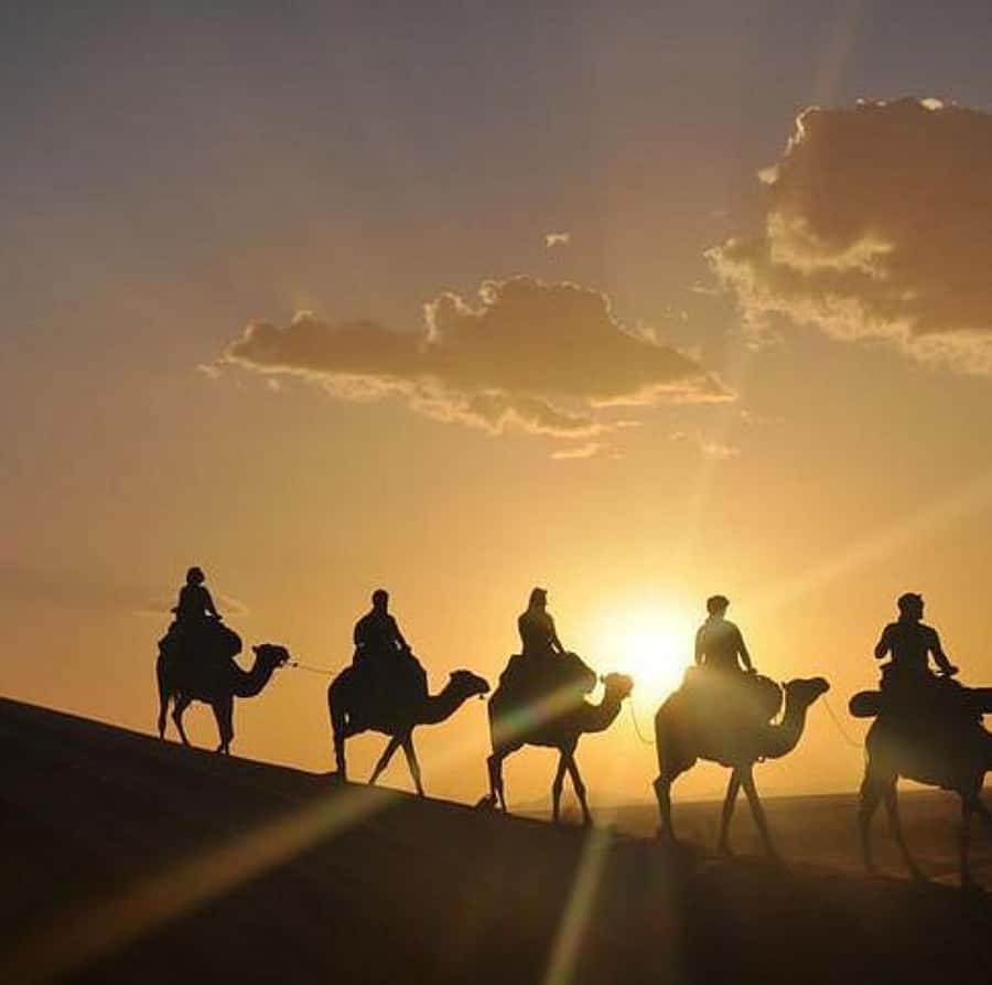 Buggy ride with camels and dinner show in agafay desert - One hour of buggy driving across Agafay