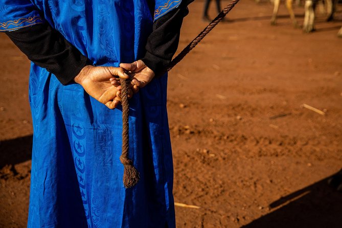 Camel and Quad Biking Tour from Marrakech - Photos, dust, and the small extras