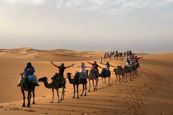 ✅ Camel Ride and Overnight in Sahara Desert Camp - Key points to know before you book