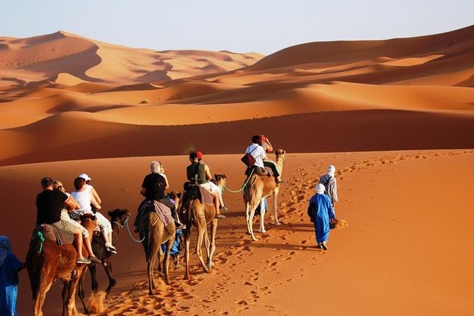 ✅ Camel Ride and Overnight in Sahara Desert Camp - Riding into the Erg Chebbi dunes at 4:30 pm