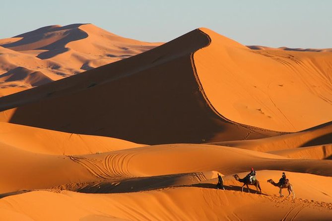 ✅ Camel Ride and Overnight in Sahara Desert Camp - What the $87.24 price really includes
