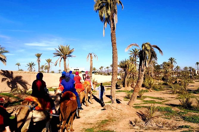 Camel Ride and Spa Treatment in Marrakech - One hour among palms and Berber villages