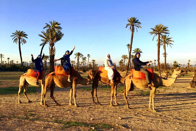Camel Ride and Spa Treatment in Marrakech - What the $67.46 price really covers