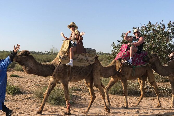 Camel ride in agadir at sunset with barbecue and couscous - A slow ride into Agadir’s sandy outskirts