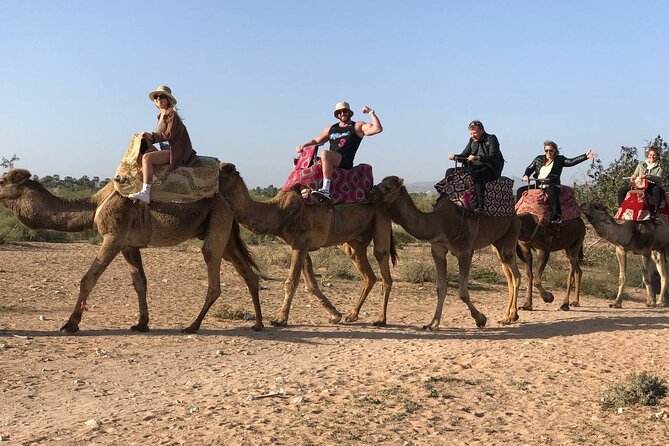 Camel ride in agadir at sunset with barbecue and couscous - Pickup is easy, but the vehicle may be basic