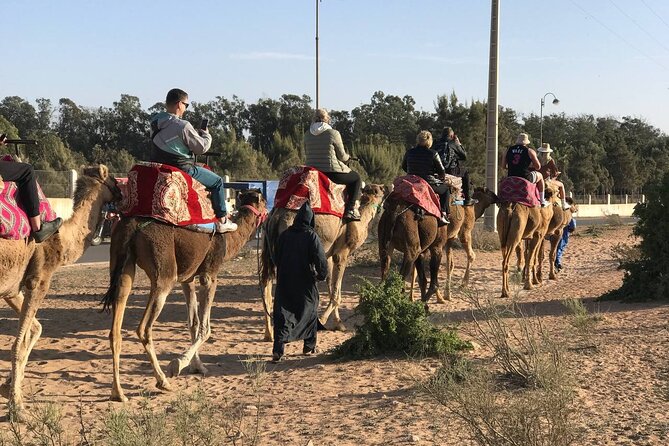 Camel ride in agadir at sunset with barbecue and couscous - Friendly guides and the photo stop