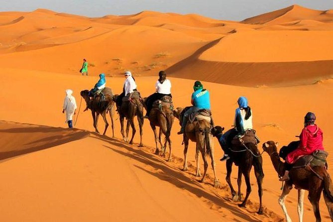 Camel ride in Tanger - Pickup from a hotel, port, or airport