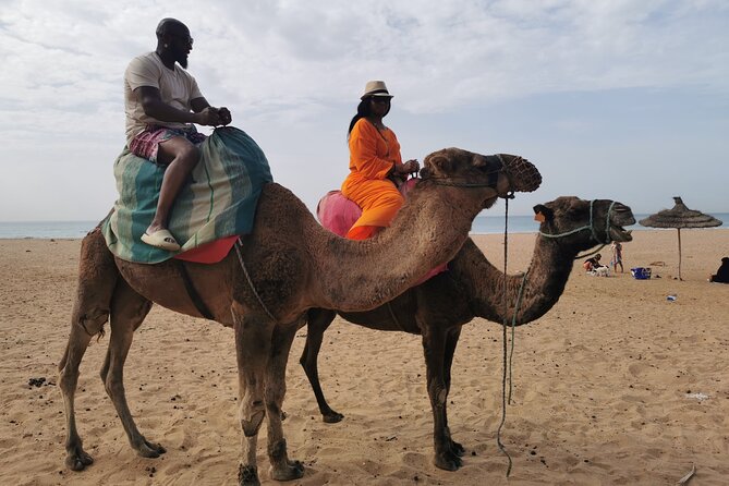 Camel ride in Tanger - Cap Spartel, the lighthouse, and the meeting of waters