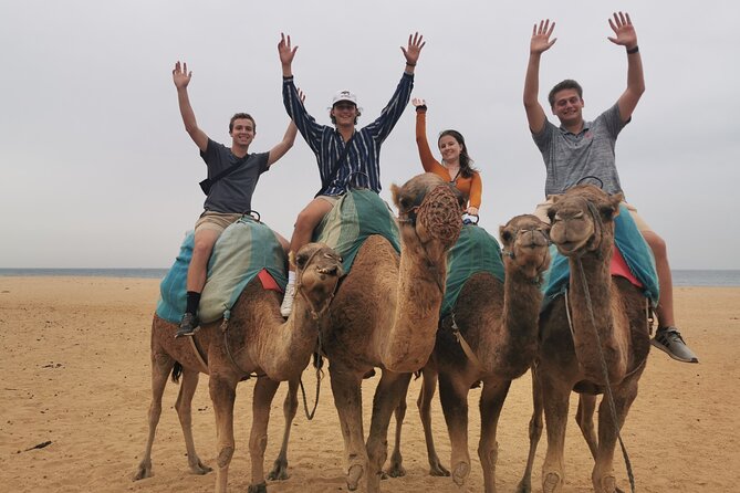 Camel ride in Tanger - The Caves of Hercules and the cash-only catch