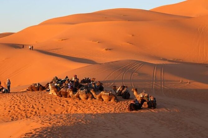 Camel ride in Tanger - Plage de Tanger and the start of the ride