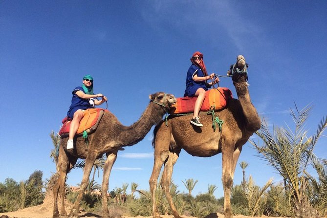 Camel Ride in the Palmeraie of Marrakech - Leaving Marrakech for the Palmeraie