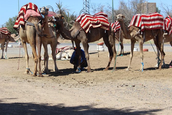 Camel Ride in the Palmeraie of Marrakech - Traditional clothing with a practical purpose