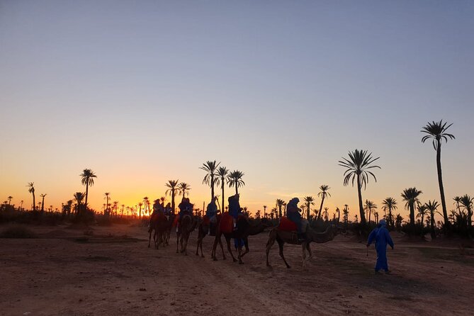 Camel ride Marrakech - What this camel ride really offers
