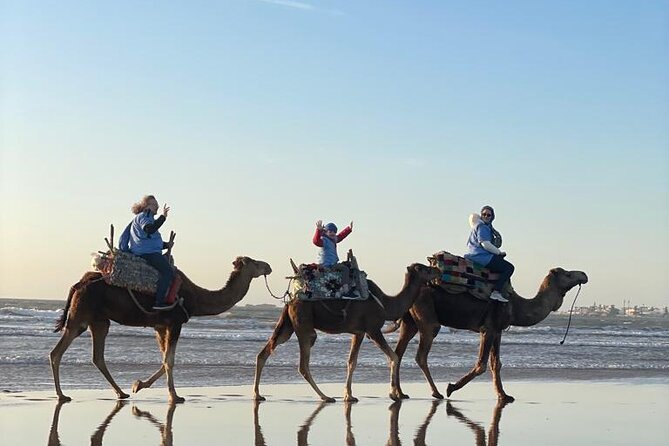 Camel ride or quad bike ride.. pick up, drop off. including - The Portuguese fort and Essaouira’s older story