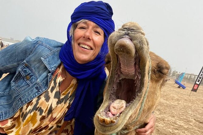 Camel ride or quad bike ride.. pick up, drop off. including - Oued Ksob, dunes, and a good chance for bird spotting