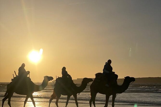 Camel ride or quad bike ride.. pick up, drop off. including - Why sunset is the smartest time to ride