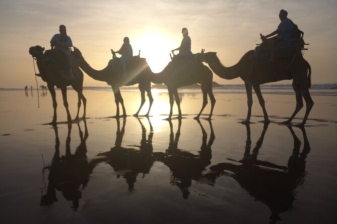 Camel ride or quad bike ride.. pick up, drop off. including - Who will enjoy this Essaouira experience most