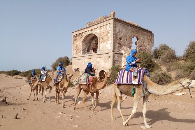Camel ride or quad bike ride.. pick up, drop off. including - Mounting the camel and settling into the rhythm