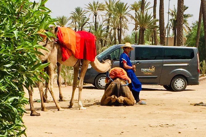 Camel Ride & Quad Biking Half Day in Marrakech - From Jemaa el-Fna to the Palmeraie