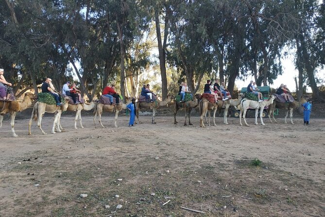 Camel ride + sunset + BBQ dinner in Agadir - Sunset timing needs a realistic reading