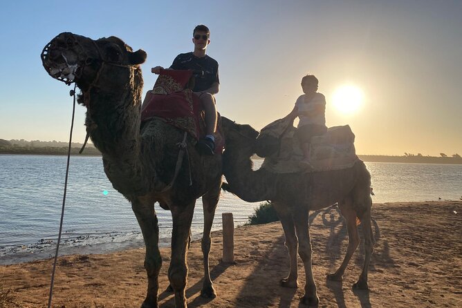 Camel Riding Agadir - Two hours, half a day, or a full day