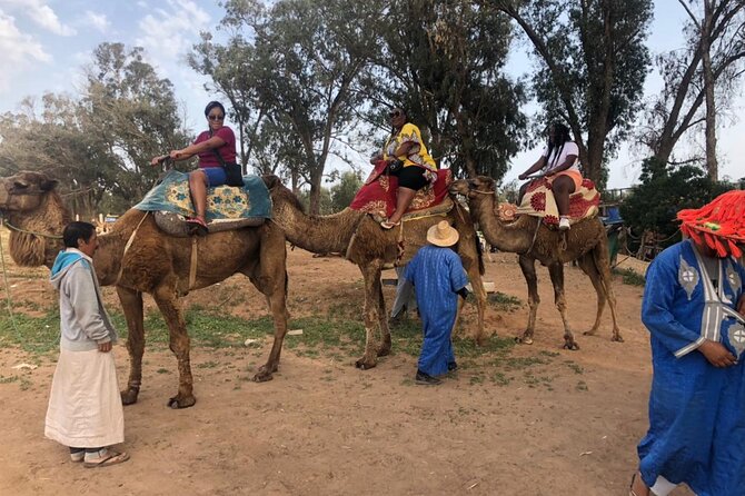 Camel Riding Agadir - What $29.04 buys you