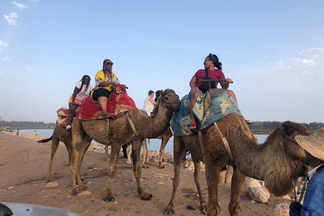 Camel Riding Agadir - Pickup, group size, and practical planning