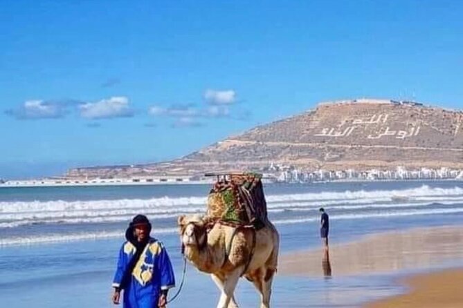 Camel Riding Agadir - Who will enjoy this ride most