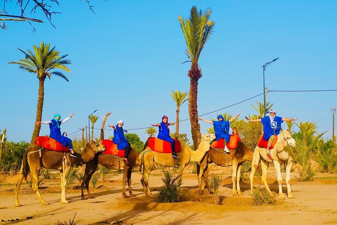 Camel Trek Around Marrakech Palmeraie - The palm groves, villages, and sandy trails