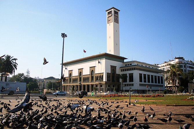 Casablanca Airport Layover Tour with Return to Airport or Hotel Dropoff - What the private vehicle adds