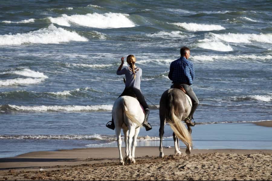 Casablanca: Beach Horseback Riding with Hotel Transfers - Key points at a glance