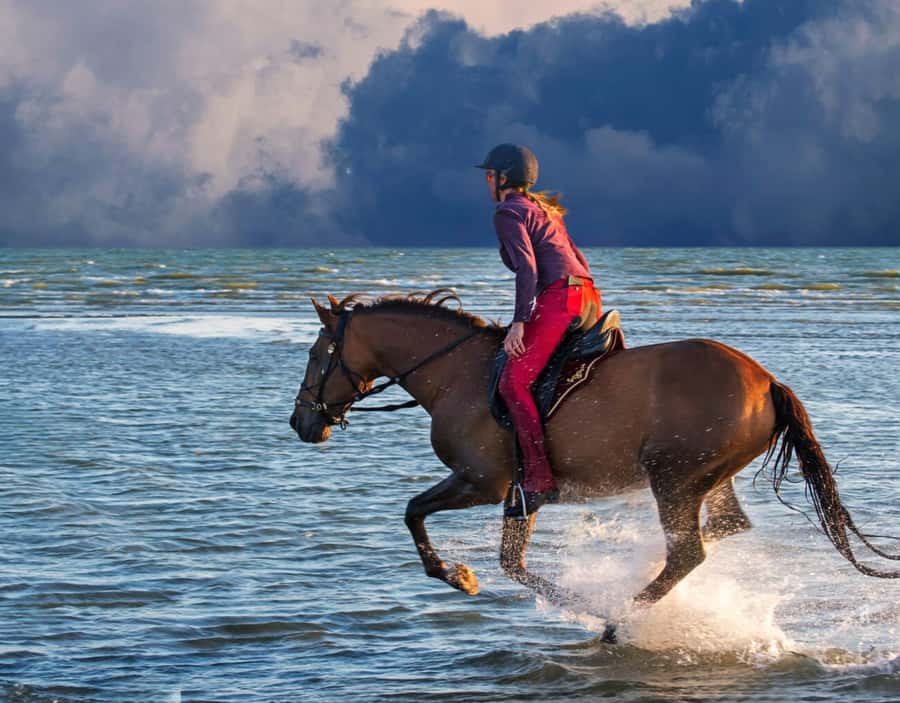 Casablanca: Beach Horseback Riding with Hotel Transfers - Who will enjoy this most?
