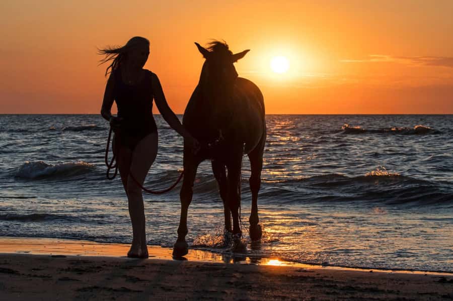 Casablanca: Beach Horseback Riding with Hotel Transfers - One hour beside the beach