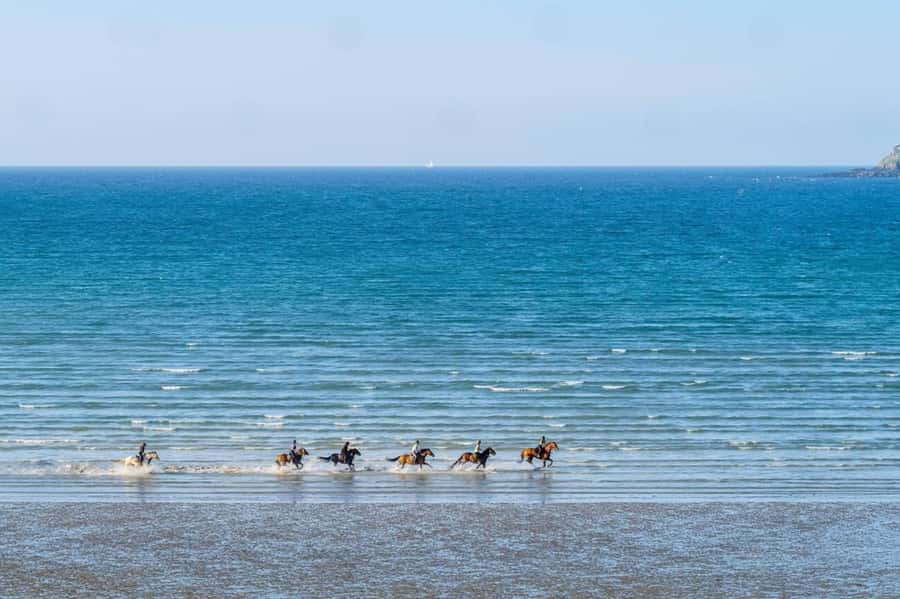 Casablanca: Beach Horseback Riding with Hotel Transfers - What the forest option adds