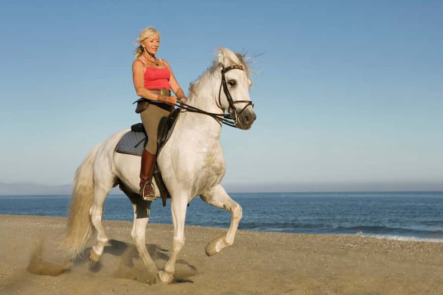 Casablanca: Beach Horseback Riding with Hotel Transfers - How much support do beginners get?