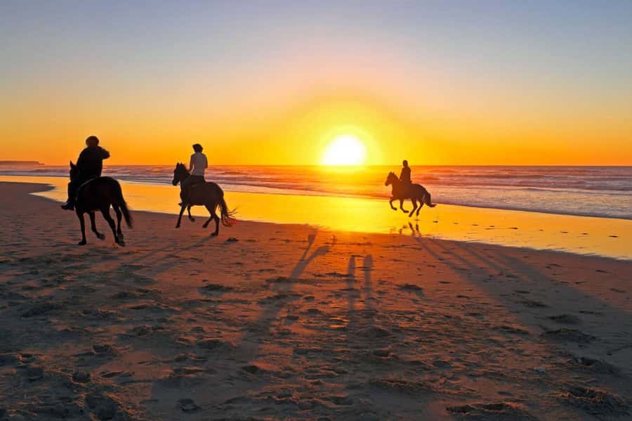 Casablanca: Beach Horseback Riding with Hotel Transfers - Is the $46 price fair?