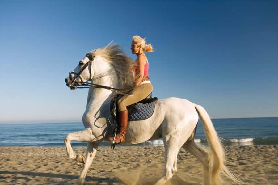 Casablanca: Beach Horseback Riding with Hotel Transfers - Weather and beach conditions matter