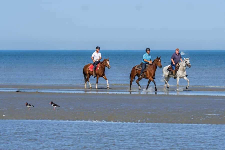 Casablanca: Beach Horseback Riding with Hotel Transfers - Meeting the horses and choosing your route