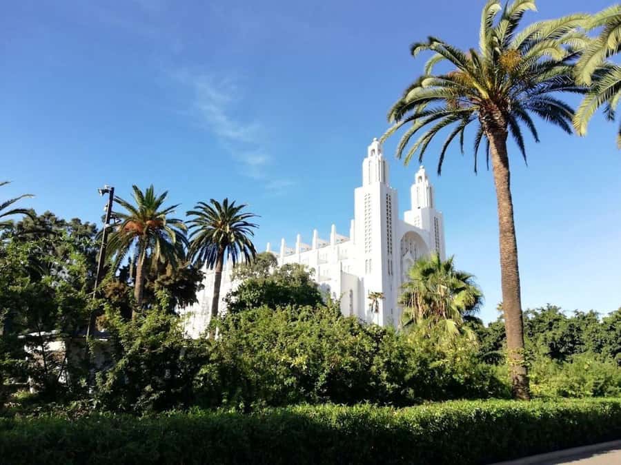Casablanca Full-Day City Tour with round-trip hotel transfer - Why this tour works for a short Casablanca stay