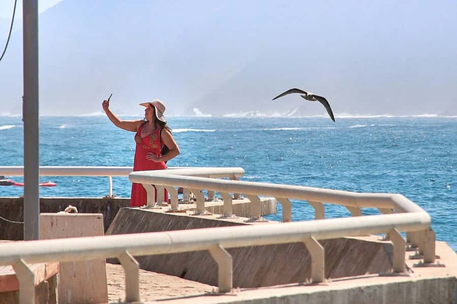 Casablanca: Private Guided Tour - La Corniche and the Atlantic pause