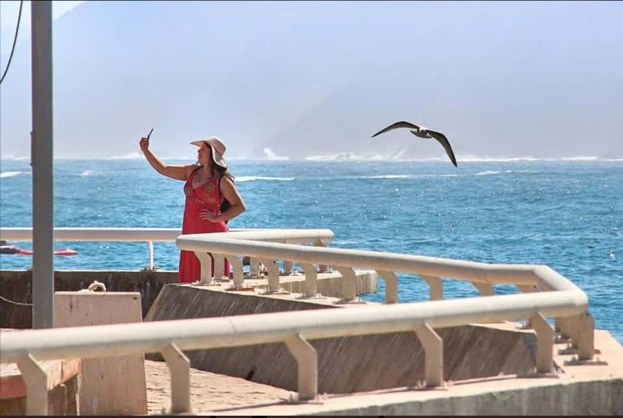 Casablanca: Private Guided Tour with lunch - What the guide and vehicle add