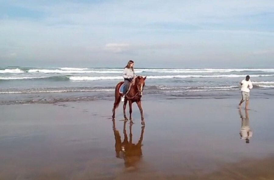Casablanca: Private or Group Tour - The Central Market and everyday Casablanca
