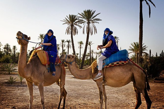 Casablanca to Marrakech Day Trip with Camel Ride - The souks: shopping with a time limit