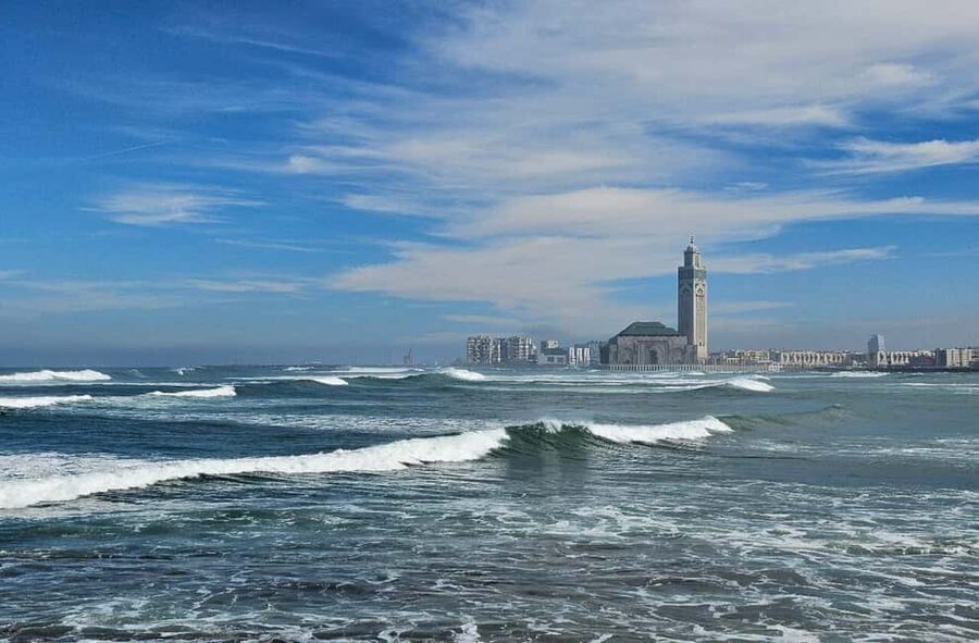 Casablanca: Tour & Guided Mosque Ticket Cruise Excursion - Who will enjoy this Casablanca shore excursion?