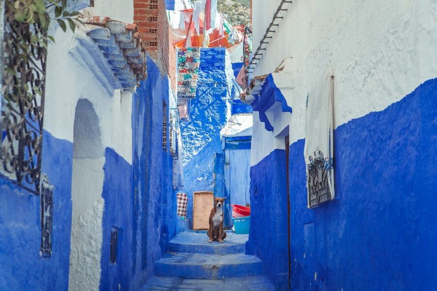 Chefchaouen Day Trip from Fez (Shared Group Tour) - The return journey and the real cost of the day