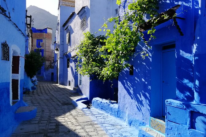 Chefchaouen private full day excursion & panoramic of Tangier - What the $132.60 Price Buys