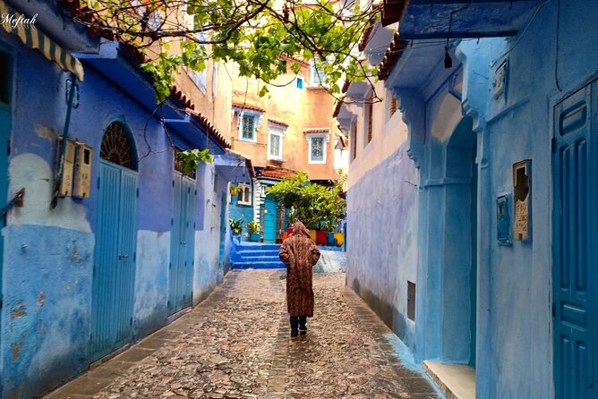Chefchaouen private full day excursion & panoramic of Tangier - Four Hours to Set Your Own Pace
