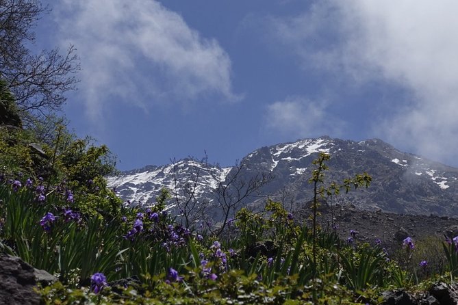 Climb Mount Toubkal - trekking - 3 days - Returning to Imlil and Marrakech