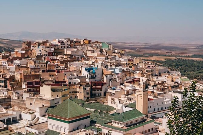 Day Tour to Volubilis & Meknes from Fes - What the guides add, and where the day can slip