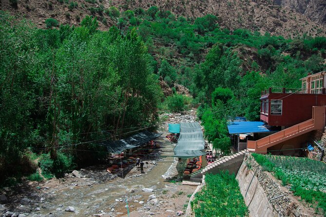 Day trip - Atlas Mountains Ourika Valley Waterfall From Marrakech - Meeting a Berber family and learning about argan oil